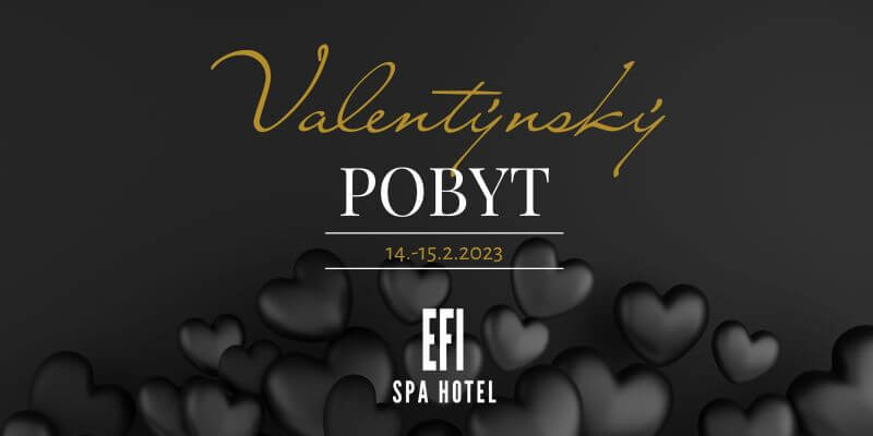 voucher_EFI Valentyn